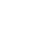 Lone Rider